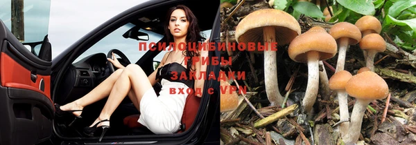 кокаин VHQ Каменка